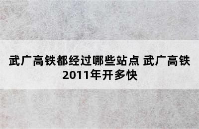 武广高铁都经过哪些站点 武广高铁2011年开多快